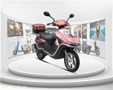  王派电动车小小公主